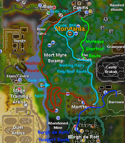 Fairy Ring Code Mort Myre Swamp Fairy Ring Code Mort Myre Swamp