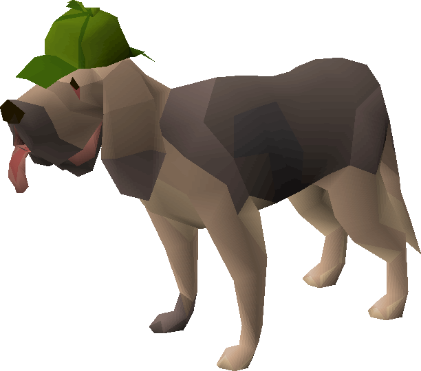 Runescape Pet Dog Runescape Pet Dog
