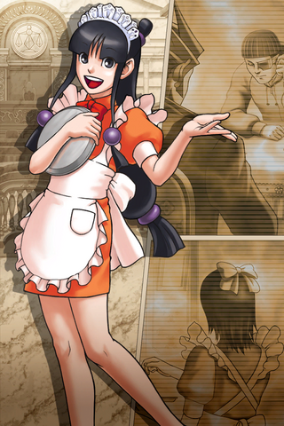 File:AA3Case3art.png