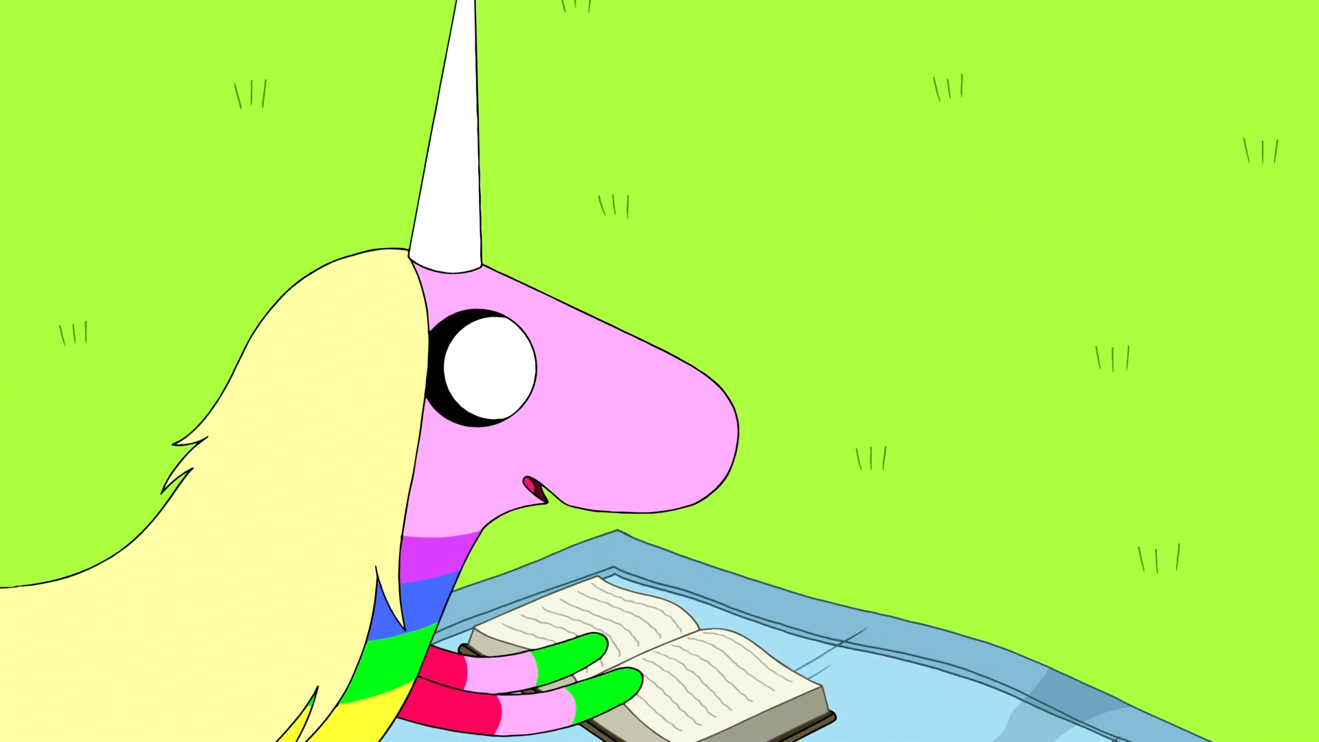 Image S6e12 Lady Rainicorn with book.png Adventure Time Wiki