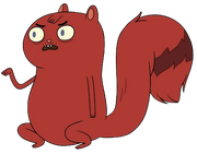 Squirrel