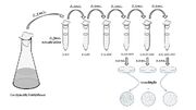 Tecnica-diluic3a7c3a3o-seriada.jpg