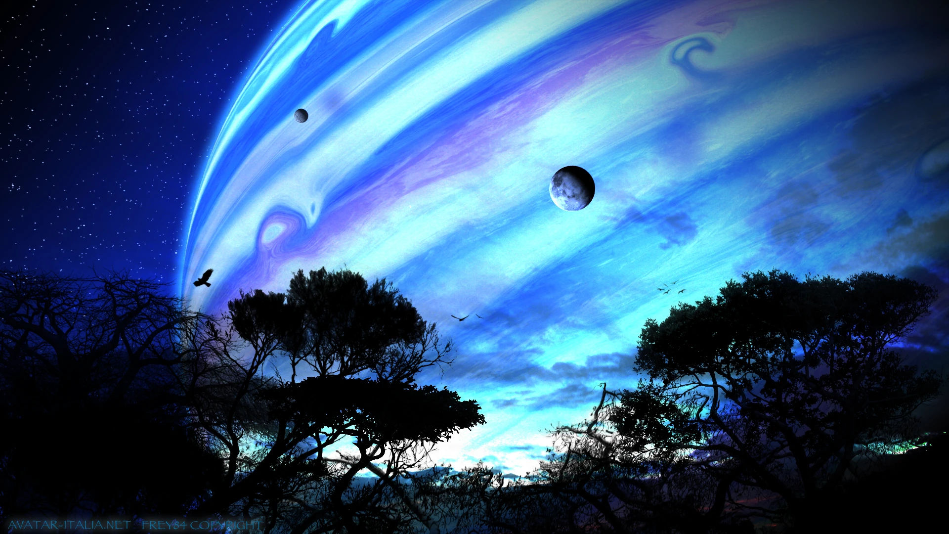 Image Avatar Pandora S View By Frey84 jpg Life The Universe And Everything Wiki Fandom 