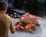 Horta