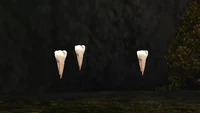 Teeth