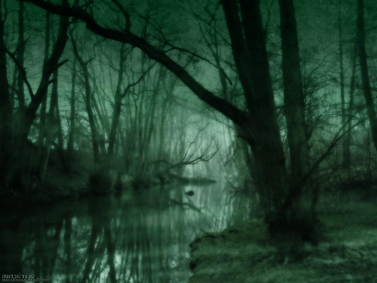 Image - The dark swamp mystery fantasy green art hd ...