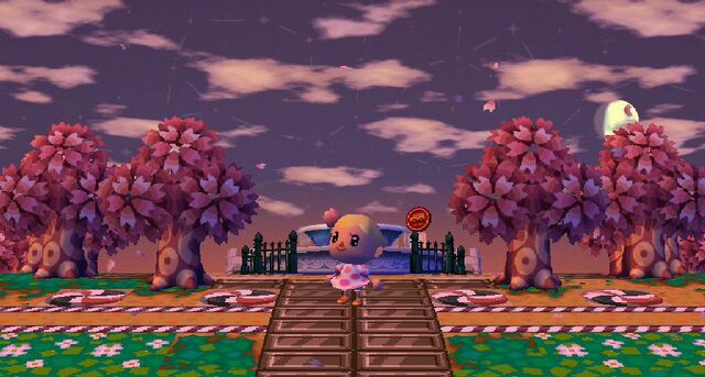 File:Cherry blossom fest.jpg