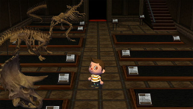 File:Fossil Exhibition.jpg