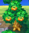 Fruit | Animal Crossing Wiki | Fandom powered by Wikia