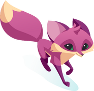 Animal Jam Fox