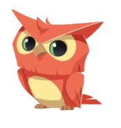 Owl - Animal Jam Wiki - Wikia