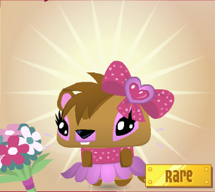 Animal Jam Leap Year Items