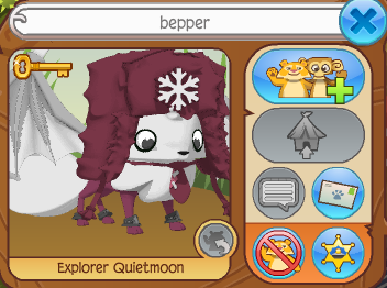 Bepper Bepper