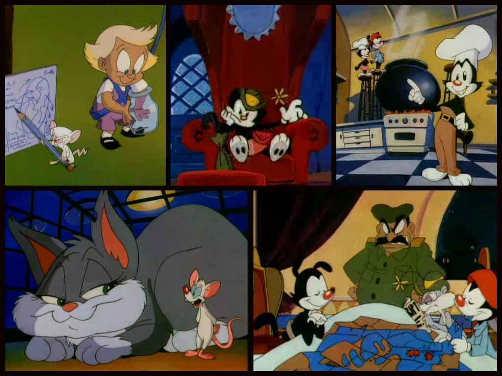 download new animaniacs download new animaniacs