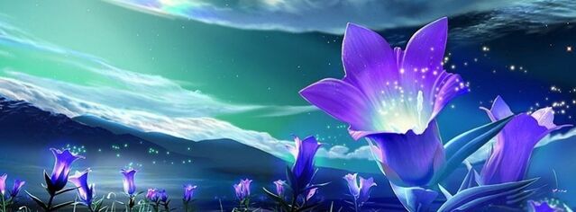 File:Abstract-purple-flowers-facebook-cover-timeline-banner-for-fb.jpg