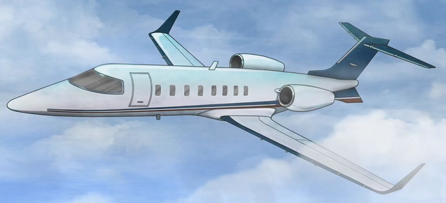 File:PrivatePlane.png