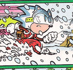 PolarSonic
