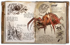 Аранео (4,42 МБ) Аранео