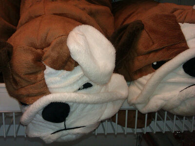 Two brown and white plush bulldog toys lie next to each other on a shelf.