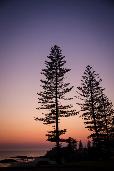 Sunrise over a Port Macquarie, Australia, beach.