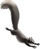 http://vignette3.wikia.nocookie.net/avengersalliance/images/4/41/Squirrel.png/revision/latest?cb=20131215125753
