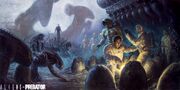 AvPUniverse