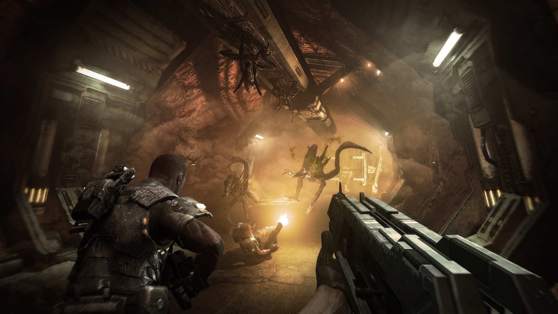 aliens vs predator game aliens vs predator game