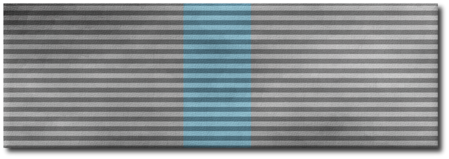 File:TrustRibbon.png
