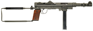 CGm45b