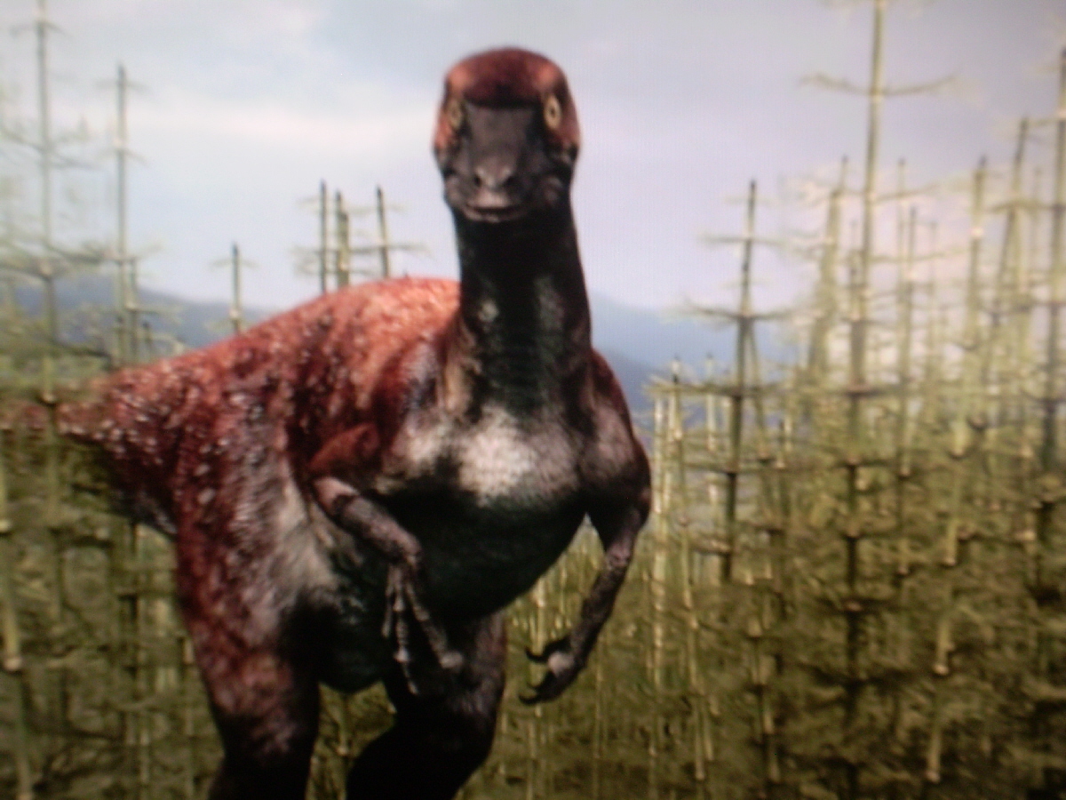 troodon planet dinosaur