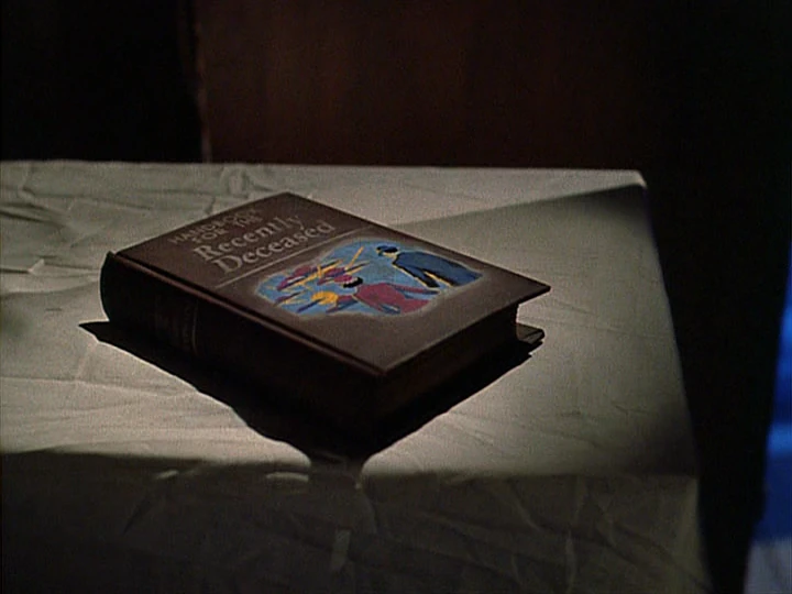 Handbook For The Recently Deceased Beetlejuice Wiki Fandom Powered