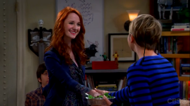 Do sheldon and penny ever hook up