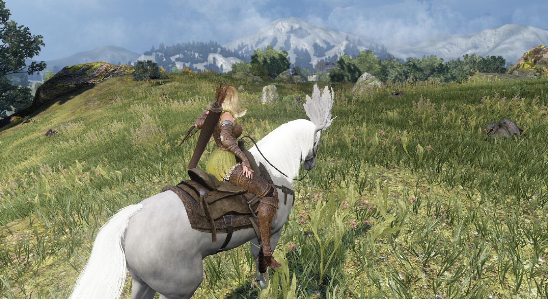black desert adventure begins black desert adventure begins