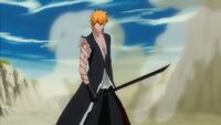 Ichigo's Post Dangai Bankai