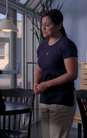 File:Waitress - Granite State.png