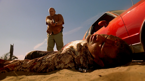 tuco breaking bad hank death schrader kills salamanca wikia series major character every season actor behind asked cinemablend he 2x2