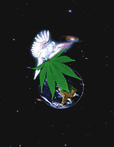 File:Dove cannabis earth 2.jpg