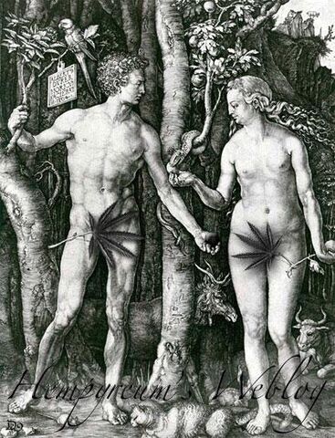 File:Adam-eve-cannabis.jpg
