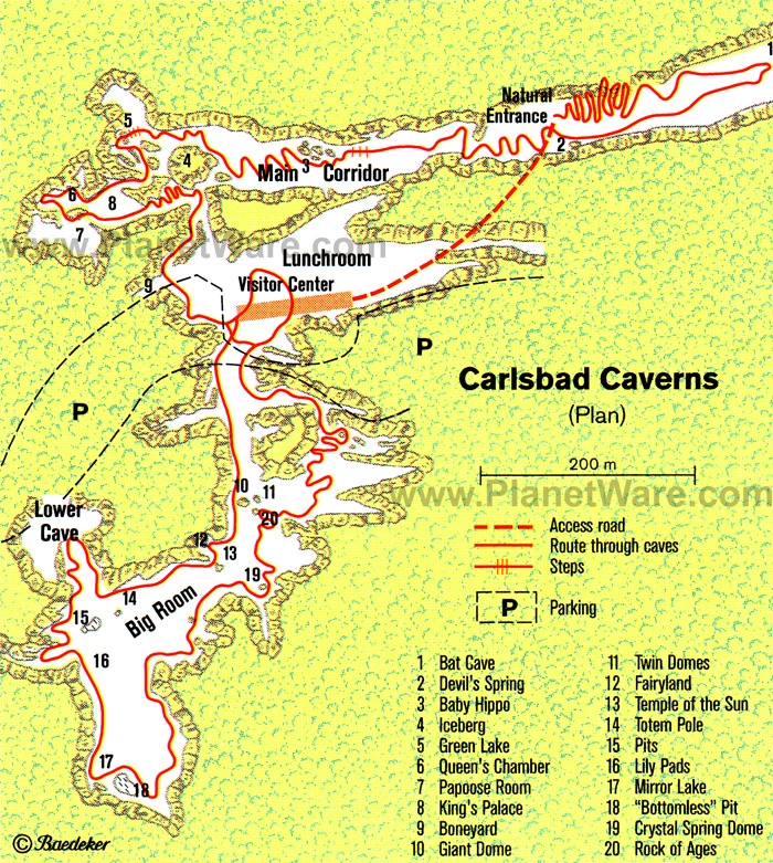 Image Carlsbadcavernsnationalparkmap.jpg Carlsbad Caverns Wiki