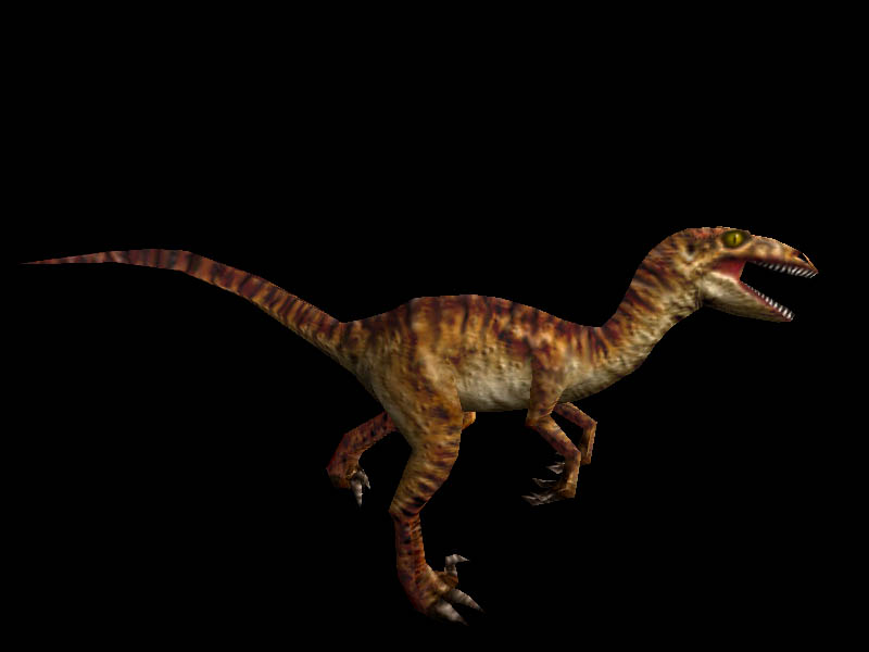 dark velociraptor