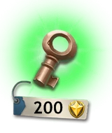 Bronze Key