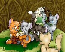 Images (38)