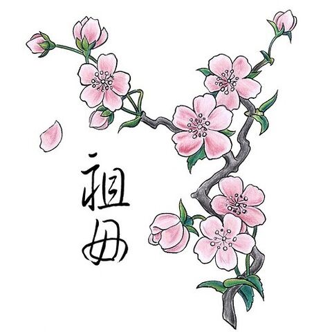 File:Cherry-Blossoms.jpg