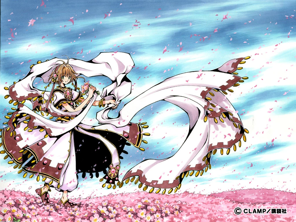 CategoryList of Tsubasa Reservoir Chronicle Chronicle of the wings