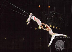 Trapeze - La Nouba.jpg