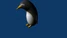 3DPenguin