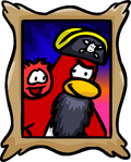 Rockhopper Portrait