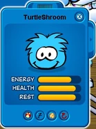 Puffle turtleshroom