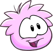 Operation Puffle Post Game Interface Puffe Image Pink