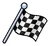 ICheckFlag